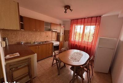 Apartament cu 3 camere în Cetate - 14