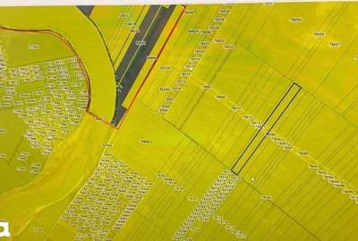 Teren de 10000 mp, în Vărăști - 1