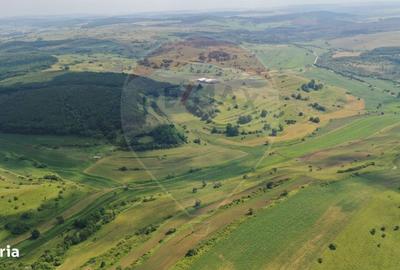 Spațiu comercial, în Zlagna - 3