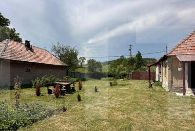 Casa taraneasca in inima naturii - 10