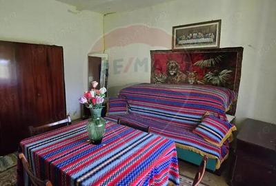 Casa cu livada 2880 mp in Adea la 4km de Chi?ineu-Cri? - 12