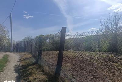 Spațiu comercial, în Rășinari - 5