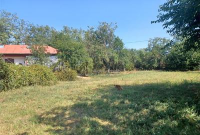 Casa Bila Ghimpati- Giurgiu - 15