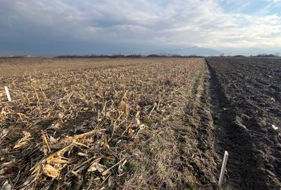 Teren agricol extravilan de 1250 mp, în Cristian - 3