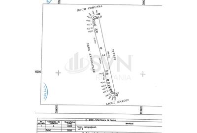 Teren Construcții intravilan de 15000 mp, în Snagov - 9