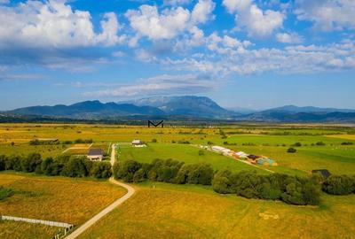 De vânzare: Teren 2000 mp în Glăjerie - Cadru natural spectaculos - 1