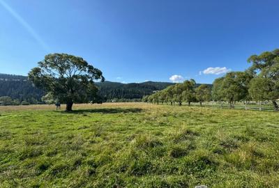 Vanzare 33400 parcelat- 18 loturi - Plaiul Sarului la sosea- microdezvoltare - 9