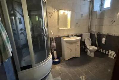 Vila P+1, Ultracentral - str. Alexandru Vlahuta - 17