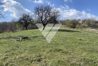 Teren Extravilan de 6630 mp - Cisnadioara - 4