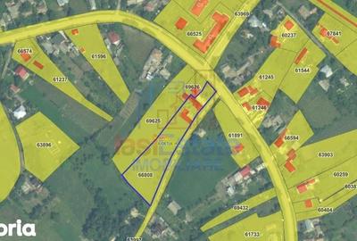 Casă cu 4 camere cu Teren 4239 Mp în Scobinți - 13