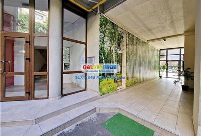 Apartament deosebit, amplasare excelenta, Banu Manta - Mihalache - 23
