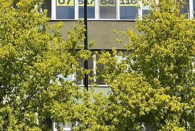 Apartament cu 3 camere în Central - 2