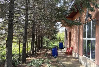 Casă cu Teren 1255 Mp în Crevedia