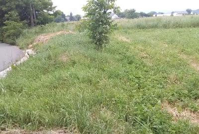 Teren de 1530 mp, în Central