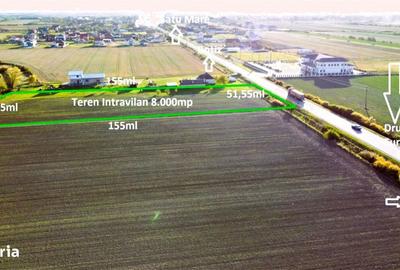 Teren de 8000 mp, în Botiz - 2