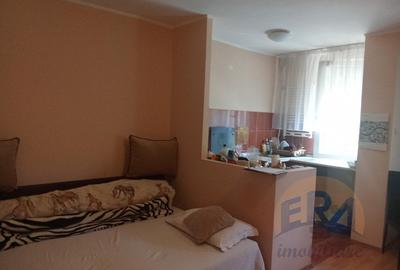 Garsonieră decomandată, mobilată în Rogerius