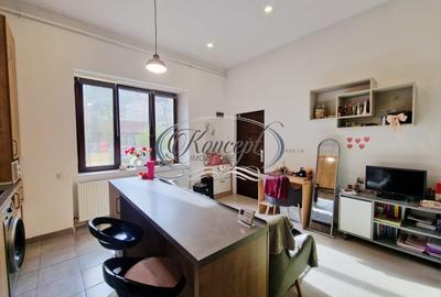 Investitie ideala: casa cu 2 unitati locative si curte, str. Horea - 7