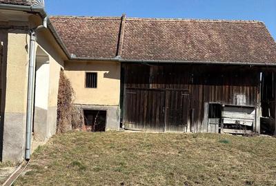 Casă cu Teren 10000 Mp în Băla