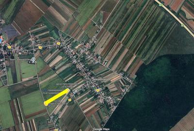 Teren în Olteni - 3