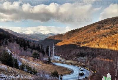 Teren de 1200 mp, în Măneciu - 8
