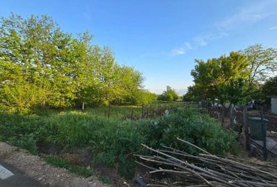 Teren de 1200 mp, în Valea Argovei - 4
