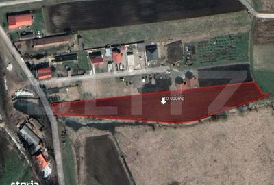 Teren de 10000 mp, în Sânpetru - 2