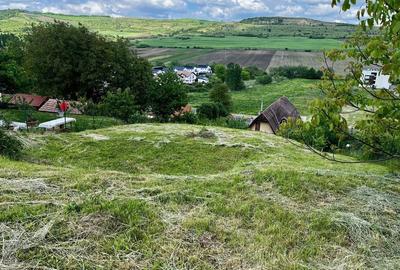 Teren de 600 mp, în Bărdești - 4