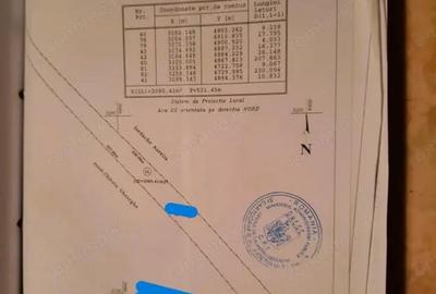 Casă cu 1 camere cu Teren 5000 Mp în Drajna - 7