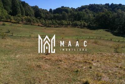 Teren Extravilan 20.000Mp I Stoenești -Vâlcea I Apă Curentă și Pădure - 2