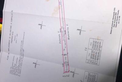 Spațiu comercial, în Sălicea - 1