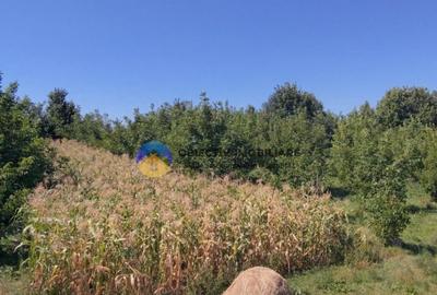 Teren de vanzare 1935 mp Piatra Neam? - Str. Plantelor - 2