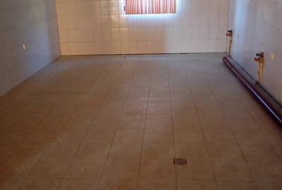 Spațiu comercial, de 400 mp, în Topleț - 9