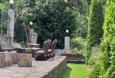 Spațiu comercial, de 400 mp, în Văliug - 6