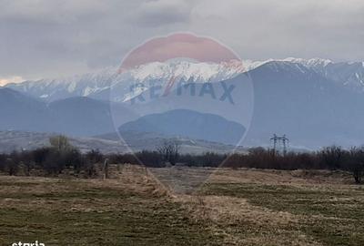 Spațiu comercial, în Pănicel