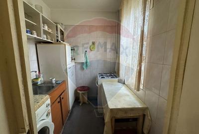 Apartament cu 2 camere semidecomandat în Valea Rosie - 8