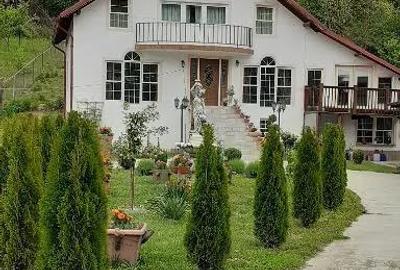 Casă cu Teren 2800 Mp în Toplița - 4