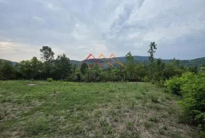 Teren Intravilan, utilitati in zona, 2600 mp, Draganeasa, Prahova - 3