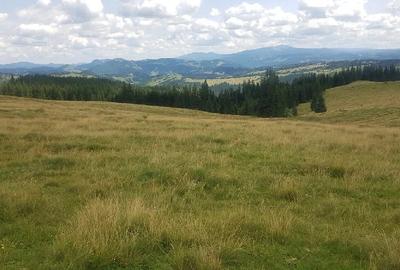 Teren de 160000 mp, în Breaza - 1
