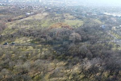 Teren agricol extravilan de 20146 mp, în Dâmbul Rotund - 17