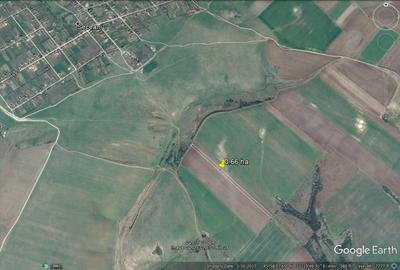 Teren agricol extravilan de 4 mp, în Orțișoara - 3