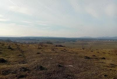 Teren - 7.132 mp zona deosebita , str Alexandru cel Bun - 3