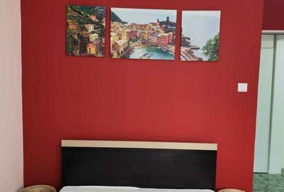 Apartament cu 2 camere decomandat în Nicolina - 5