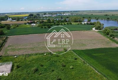 Teren de 10400 mp, în Dascălu - 13