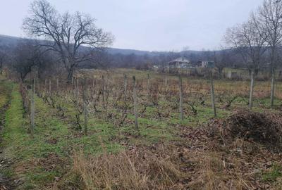 Casă cu 2 camere în Hilița - 2