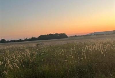 RECO Teren intravilan pentru casa Osorhei cu PUZ - 12