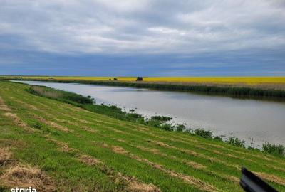 Teren de 395 mp, în Frumușani - 3