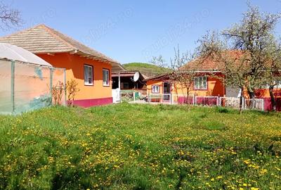 Casă cu 4 camere cu Teren 3600 Mp în Obislavu - 3