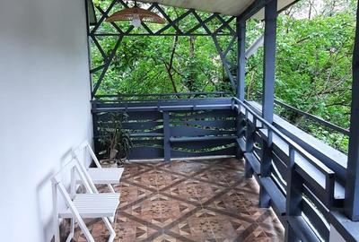 Bucur Obor Închiriez Ap 5 cam vila stradală mobilat utilat complet 1 loc parcare - 10