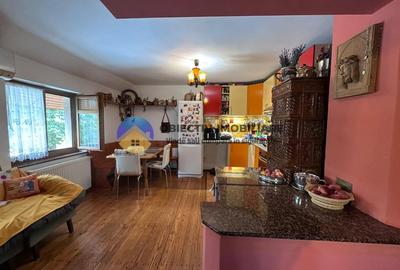 Casa cu priveliste panoramica spre lac si munte - Alexandru cel Bun - 15