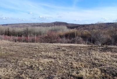 Teren de 117000 mp, în Râmeț - 2